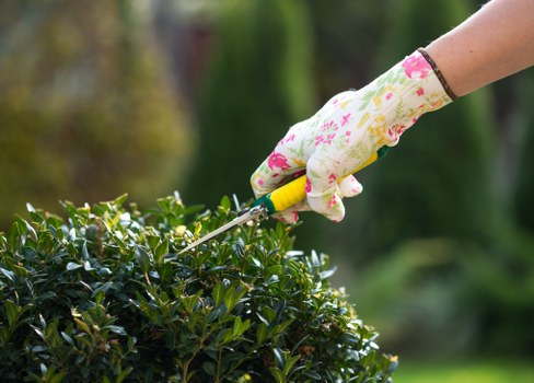 Overgrown garden clearance in Becontree Heath with green waste removal