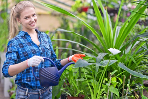 Inclusive access statement for Gardeners Becontree Heath