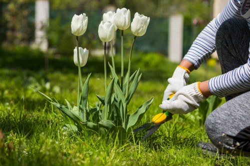 Becontree Heath garden maintenance with lawn care and seasonal planting
