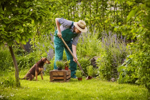 Lawn care and hedge trimming as part of gardening services in Becontree Heath