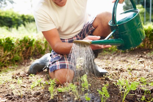 Low-maintenance garden design features in Becontree Heath