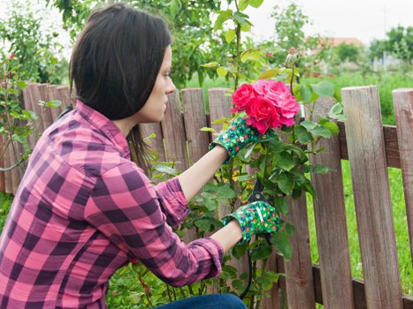 Gardeners Becontree Heath cookie policy introduction image