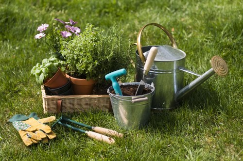 Professional garden care in Becontree Heath for a neat and welcoming property