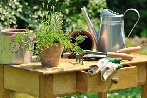 Safe tree removal and stump grinding service in Becontree Heath