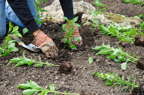 Example of a detailed gardening price estimate for a local property