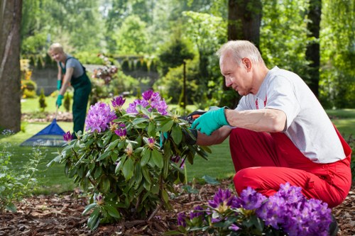 Soft landscaping with shrubs, flowers, and lawns in Becontree Heath