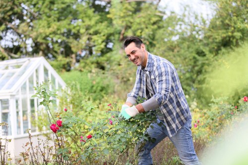 Mowing and maintenance for Becontree Heath lawns