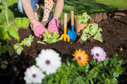 Professional garden maintenance in Becontree Heath for lawns and shrubs