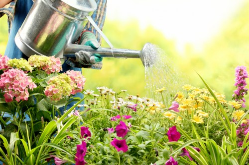 Professional patio cleaning finishing touches on a Becontree Heath property