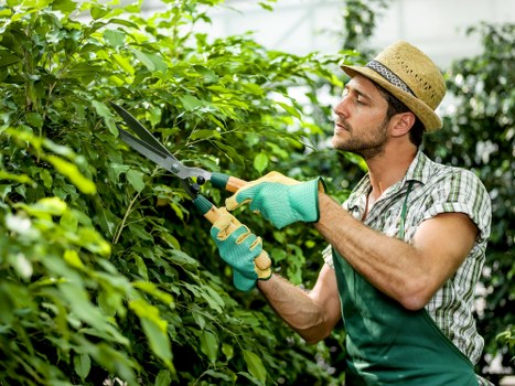 A gardening service reviewing a complaint and checking work records