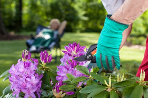Planning a landscaping project in Becontree Heath with garden layout ideas