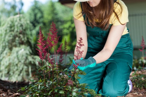 Trained garden staff assessing outdoor work conditions in Becontree Heath