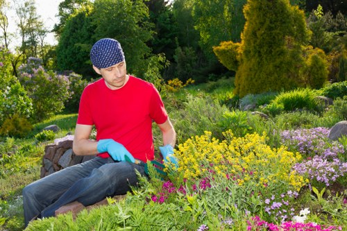Seasonal garden maintenance in Becontree Heath with planting and border care