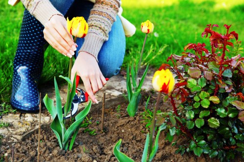 Seasonal planting ideas for a landscaped Becontree Heath garden