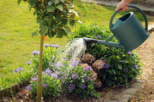 Seasonal lawn treatment in Becontree Heath garden