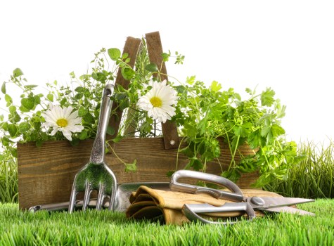 Professional gardeners in Becontree Heath following safe working practices