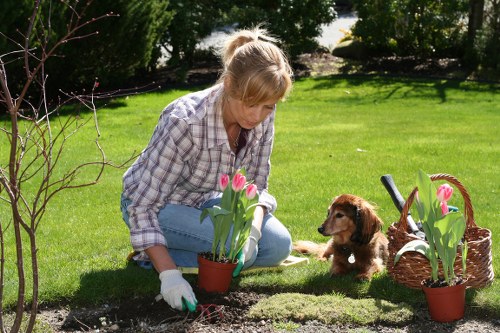 Service cancellation and access requirements for gardening work