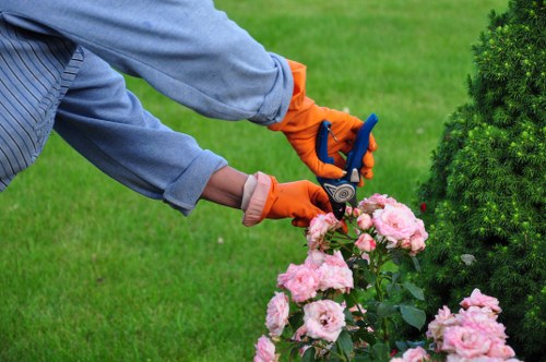 Gardening PPE including gloves and eye protection used during maintenance