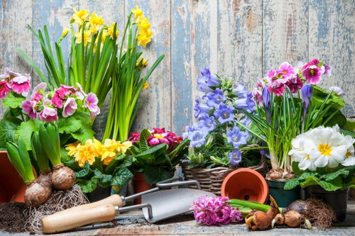 Weed control and garden clearance in Becontree Heath