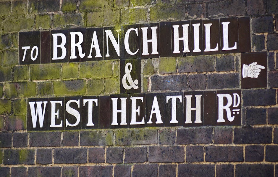 A close-up of a weathered brick wall with moss and lichen growth, displaying a black-and-white tiled street sign reading 'To BRANCH HILL & WEST HEATH RD.' The sign features white capital letters on a