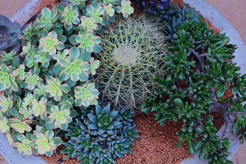 garden design irrigation system